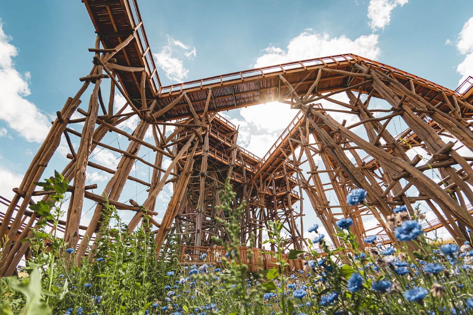 Wieża widokowa Kurza Góra latem - Kurza Góra